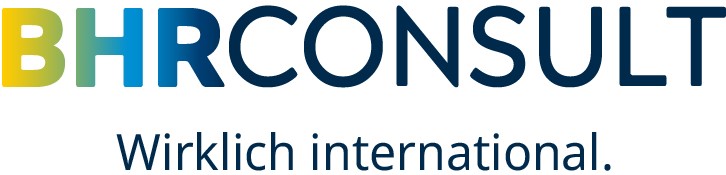 Logo von BHR Int. Consult GmbH - Personalberater in Würzburg