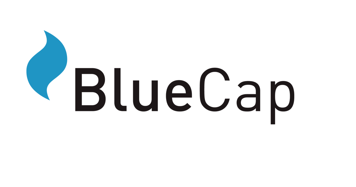 Logo von BlueCap Personalberatung GmbH - Personalberater in Wyk auf Föhr