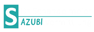 Logo von Dr. Schandelmeier Personallösungen GmbH - Personalberater in Breisach a. Rhein