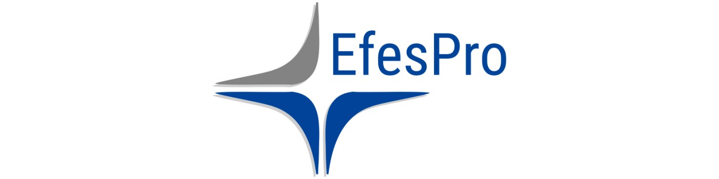 Logo von Efespro GmbH - Personalberater in Winterberg