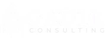 Logo von Gadir Consulting GmbH - Personalberater in Frankfurt am Main