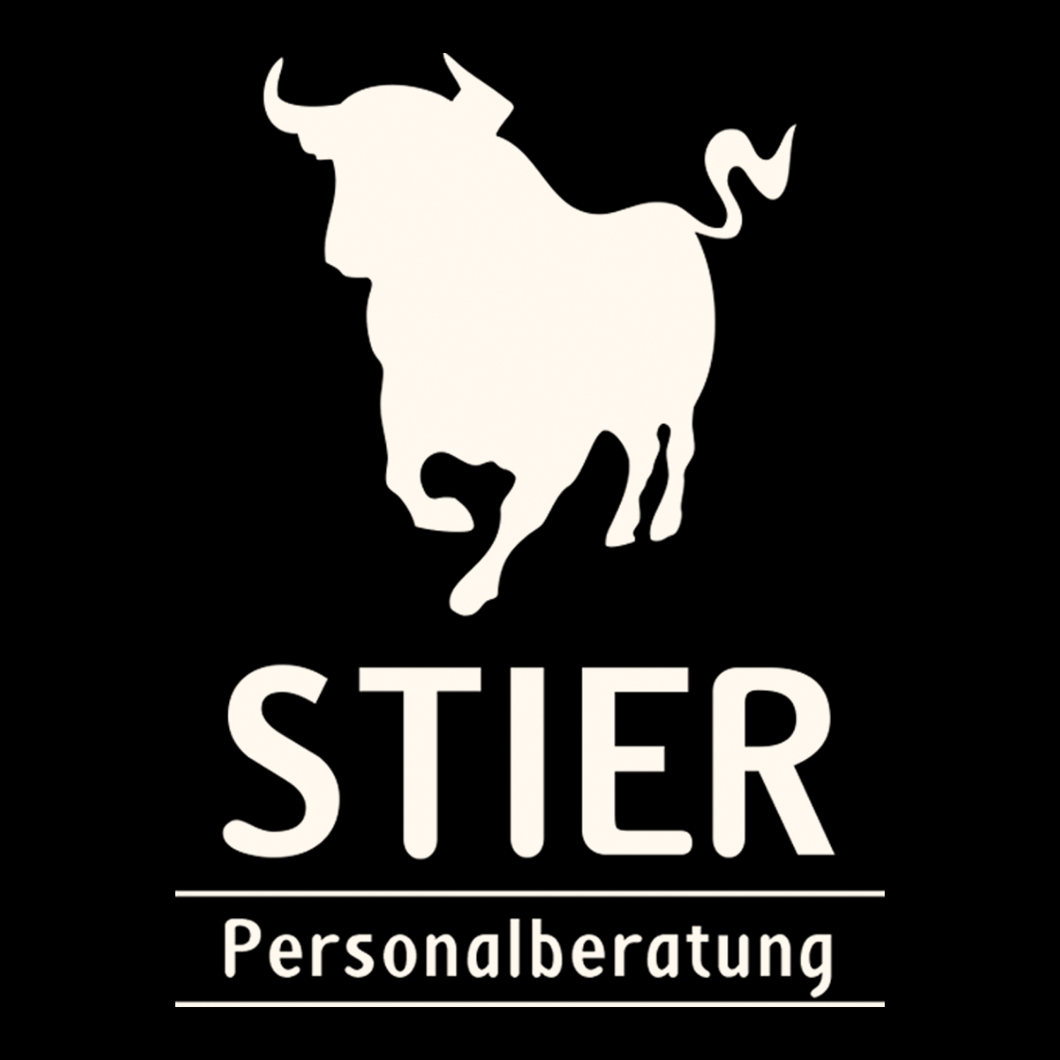 Logo von Stier Personalberatung - Personalberater in Frankfurt am Main